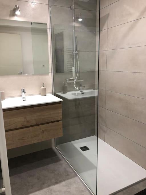 Appartement Moderne & Lumineux 40M2 Centre Luxeuil エクステリア 写真