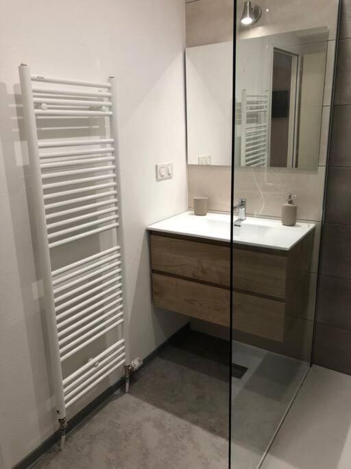 Appartement Moderne & Lumineux 40M2 Centre Luxeuil エクステリア 写真